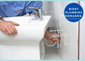 Plumbing Demands of a Bidet